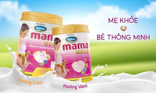 Sữa bổ sung sắt cho mẹ bầu mama gold