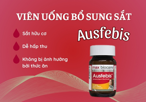 thuốc bổ sung sắt và b12