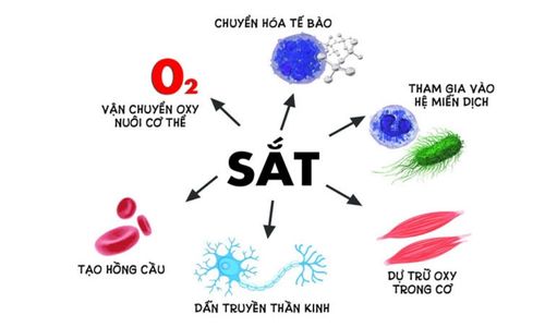 uống sắt và vitamin c cùng lúc được không