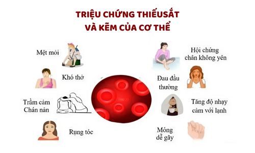 sắt và kẽm có nên uống cùng nhau không