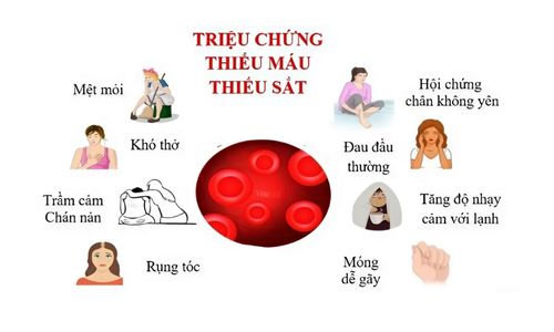 Thiếu sắt có thiếu máu không