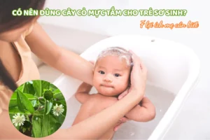 Co nen dung cay co muc tam cho tre so sinh 7 loi ich me can biet