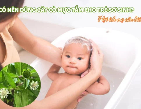 Co nen dung cay co muc tam cho tre so sinh 7 loi ich me can biet