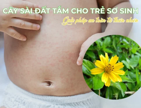 Cay sai dat tam cho tre so sinh – Giai phap an toan tu thien nhien