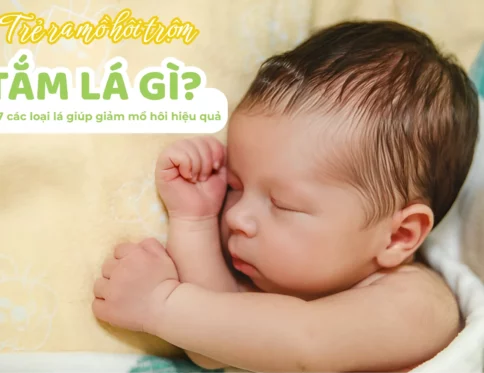 Tre ra mo hoi trom tam la gi Top 7 cac loai la giup giam mo hoi hieu qua