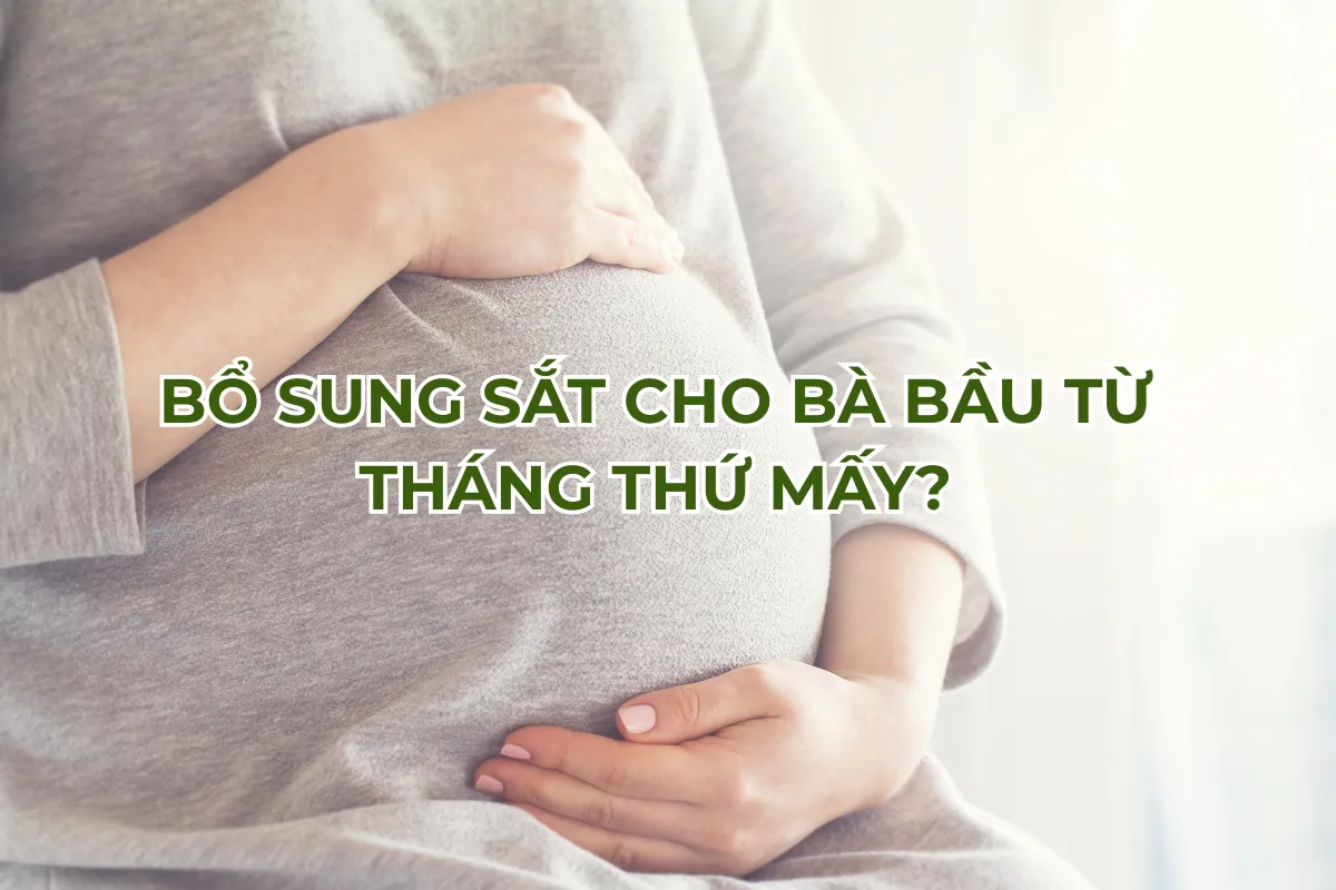 Bổ sung sắt cho bà bầu từ tháng thứ 3