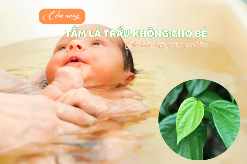 Cam nang A Z ve tam la trau khong cho be An toan hieu qua me an tam 