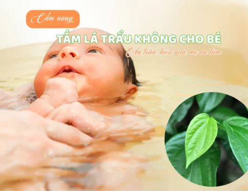 Cam nang A Z ve tam la trau khong cho be An toan hieu qua me an tam