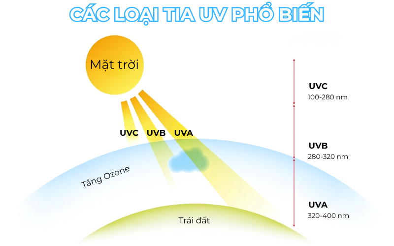 Đôi mắt của thần tình yêu 