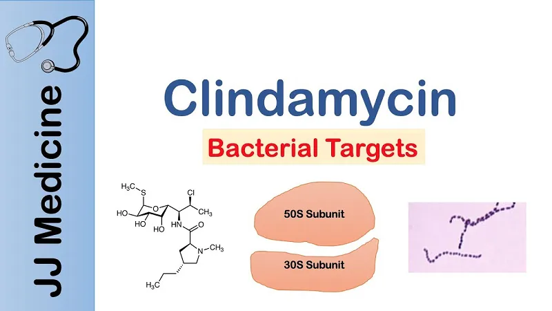 Clindamycin có dùng được cho bà bầu không?