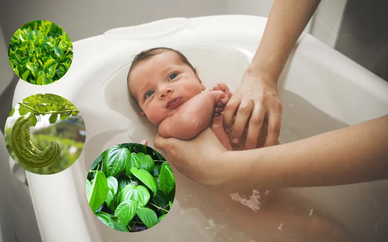 Tắm thảo dược dân gian