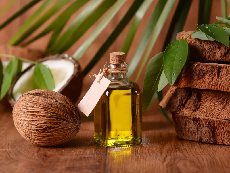 Dầu oliu chữa rạn da và dầu dừa 