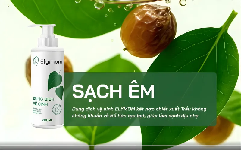 Quả bồ hòn có tác dụng gì? Ứng dụng trong sản phẩm chăm sóc cá nhân hiện đại