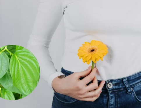 Rửa vùng kín bằng lá trầu không