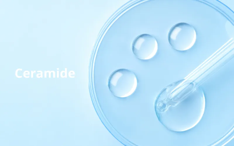 Ceramide là gì và vai trò trong chăm sóc da