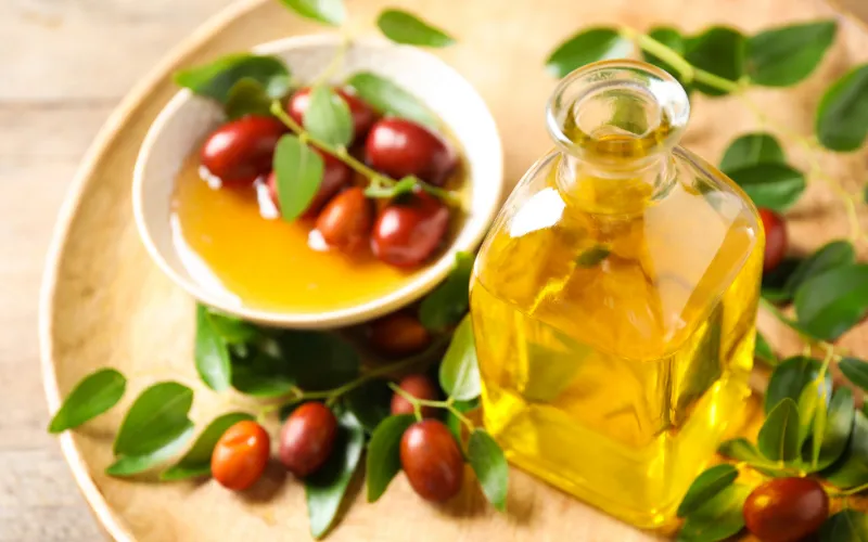 Dầu Jojoba là gì và vì sao được yêu thích trong dưỡng da