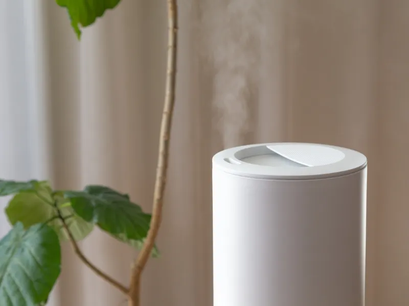 Chăm sóc và phòng ngừa viêm da cơ địa ở mông