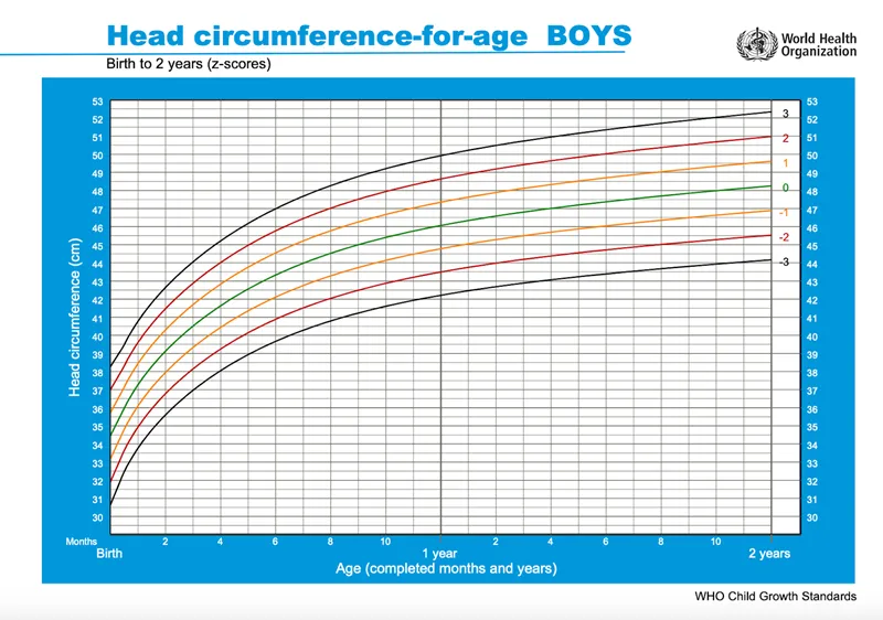 Biểu đồ chu vi vòng đầu cho bé trai theo độ tuổi từ sơ sinh đến 2 tuổi