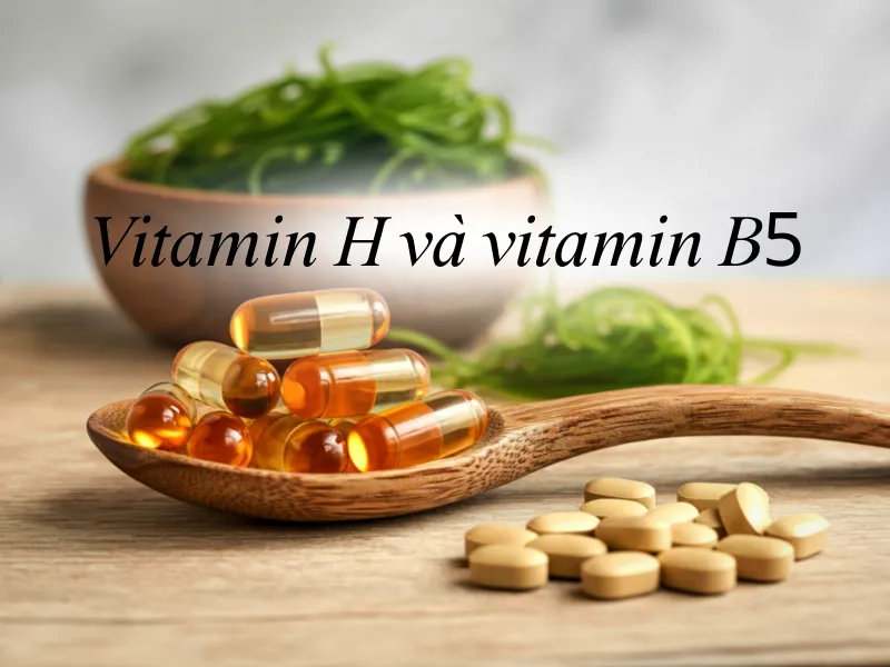 So sánh vitamin H và vitamin B