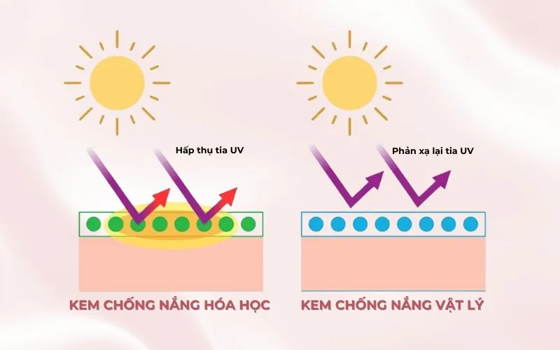 Nguyên lý phản xạ vật lý và kiểm soát nhiệt năng