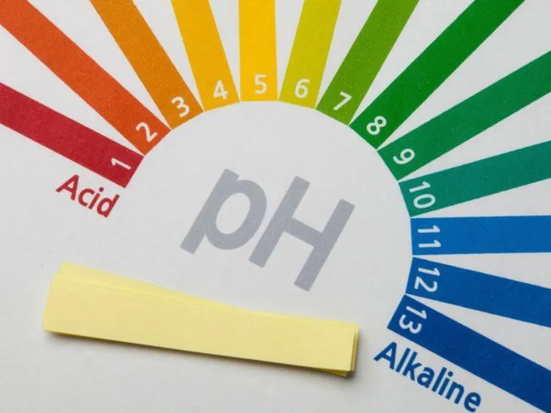 Độ pH âm đạo bình thường ở mức 3.8 - 4.5
