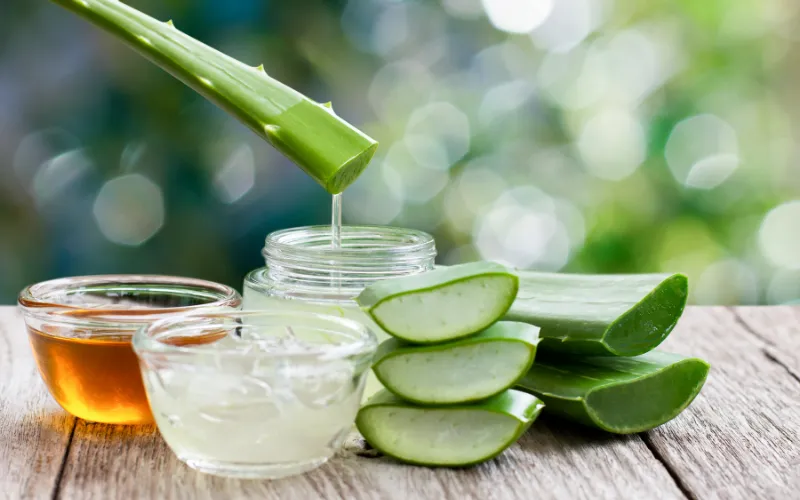 Nhóm hút ẩm (Humectants) – Cấp nước cho da ngay lập tức