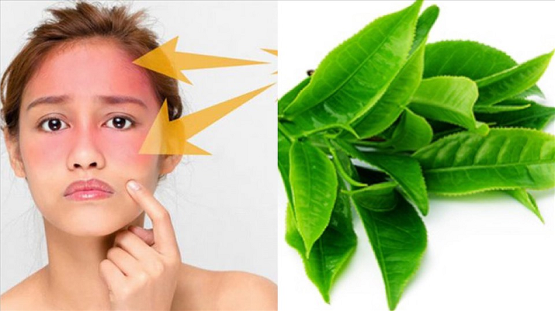 chất chống oxy hóa trong trà xanh