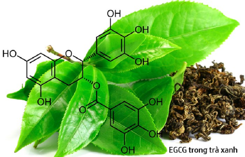 chất chống oxy hóa trong trà xanh