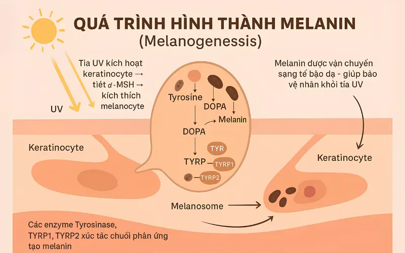 Kem chống nắng có làm trắng da không?