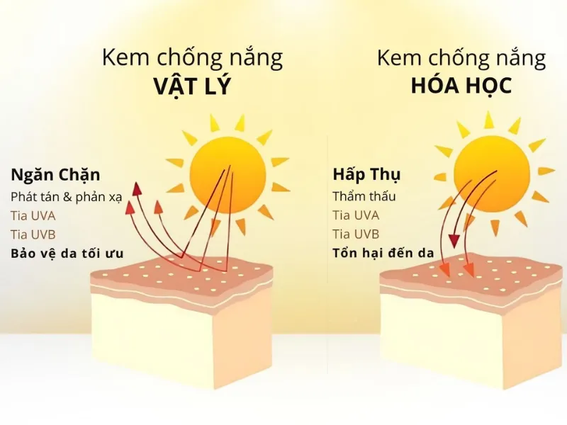 Sự khác nhau giữa kem chống nắng vật lý và kem chống nắng hóa học là gì?