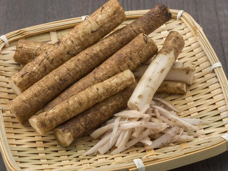 Rễ cây ngưu bàng có tác dụng gì?