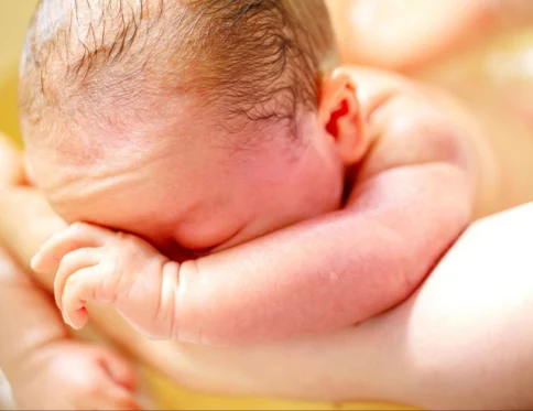 tắm nước lá lốt cho trẻ sơ sinh