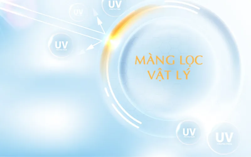 Phân tích các loại màng lọc chống nắng phổ biến
