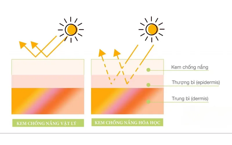 Lý do kem chống nắng vật lý được tin dùng cho da nhạy cảm