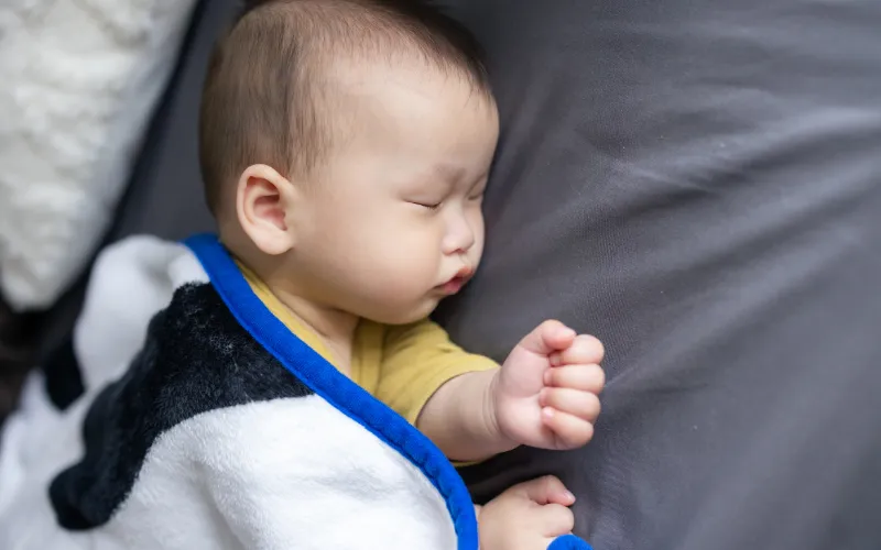 Lá đinh lăng tắm cho trẻ sơ sinh được không?