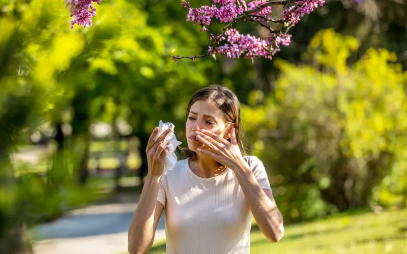 Phản ứng miễn dịch và Histamine