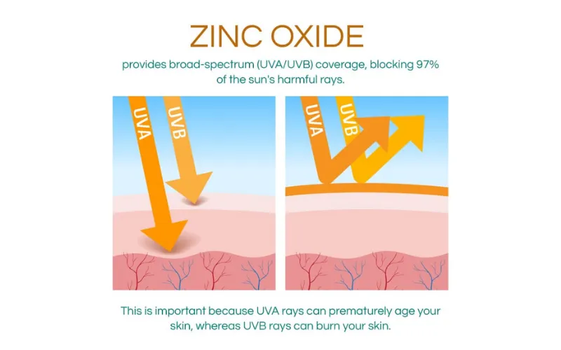 Bản chất lý hóa của Zinc Oxide và Titanium Dioxide