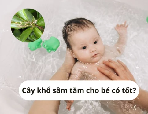 cây khổ sâm tắm cho bé