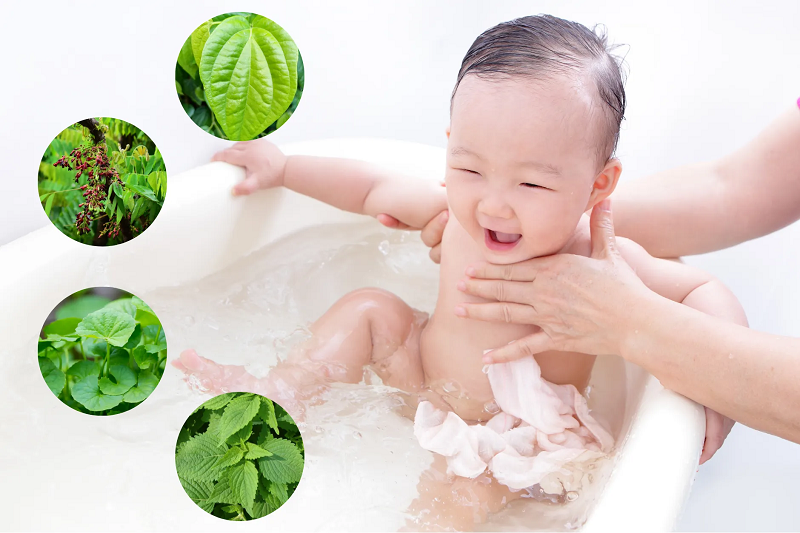 tắm lá đậu ván cho trẻ sơ sinh