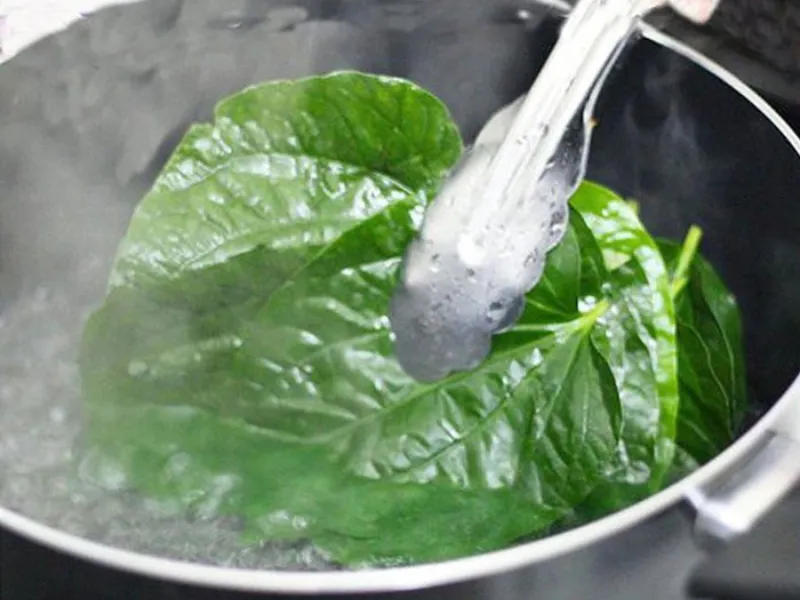 Đun lá với nước sạch trong khoảng thời gian phù hợp
