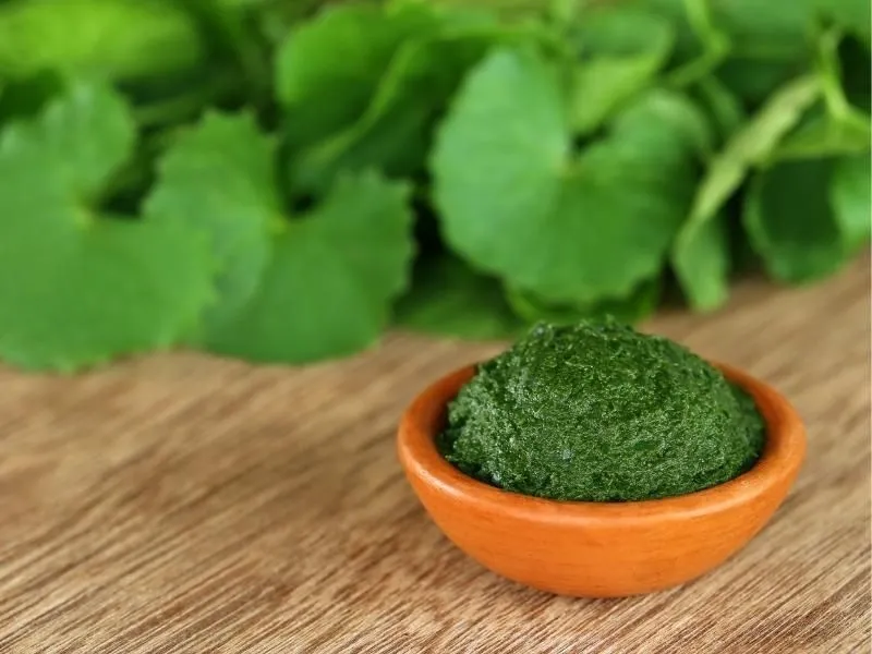 Giã đắp lá rau má cốt cũng là một cách khá hiệu quả