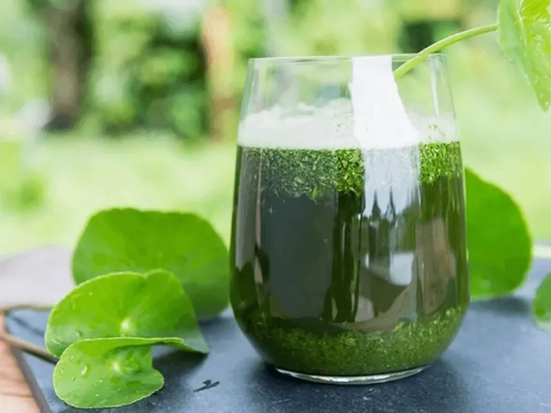 Nước ép rau má giúp giải độc, làm mát cơ thể, giảm thiểu tình trạng rôm sảy tái phát do nóng trong.
