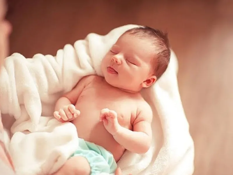 Lá Hương nhu tạo cảm giác thư giãn, hỗ trợ giấc ngủ