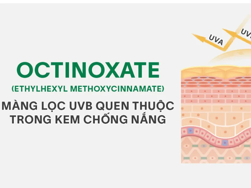 Octinoxate chủ yếu có tác dụng chống lại tia UVB