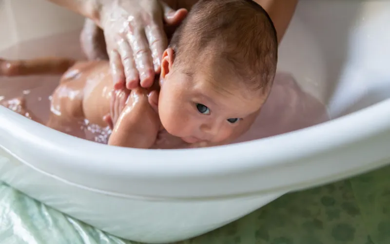 Cách sơ chế và nấu nước lá đơn đỏ