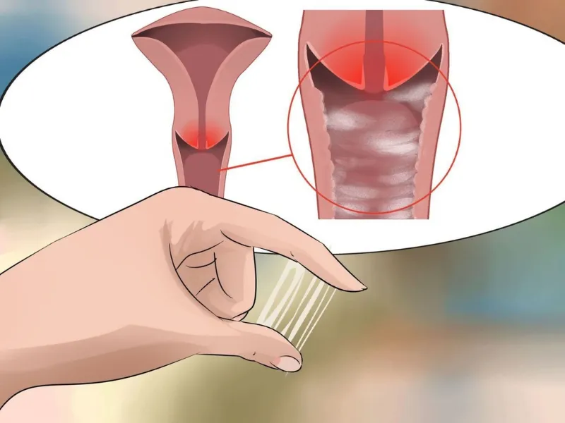 Thải độc vùng kín đúng cách giúp hỗ trợ giảm nguy cơ viêm nhiễm phụ khoa